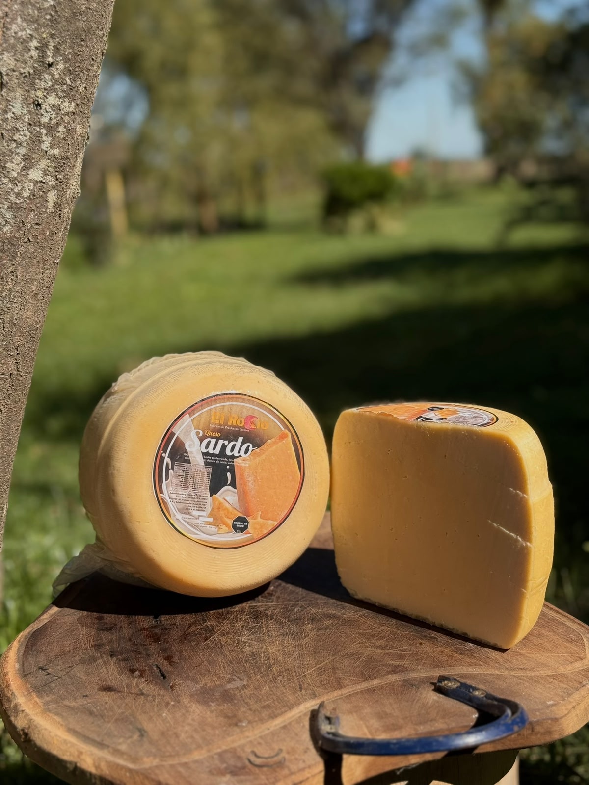 Queso Sardo